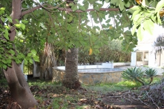 before_exterior_12