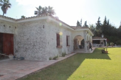 during_exterior_04