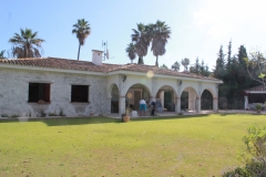 during_exterior_05